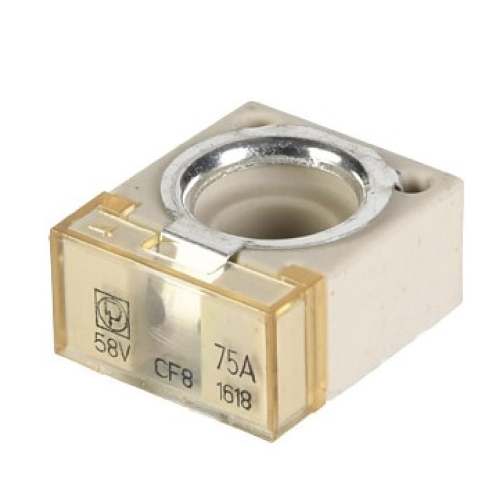 Blokzekering 75A p/s