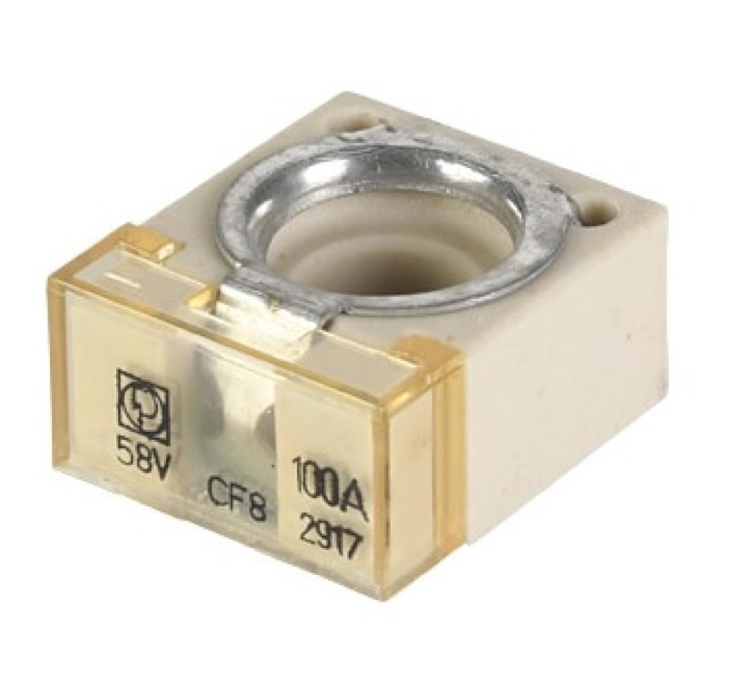 Blokzekering 100A p/s