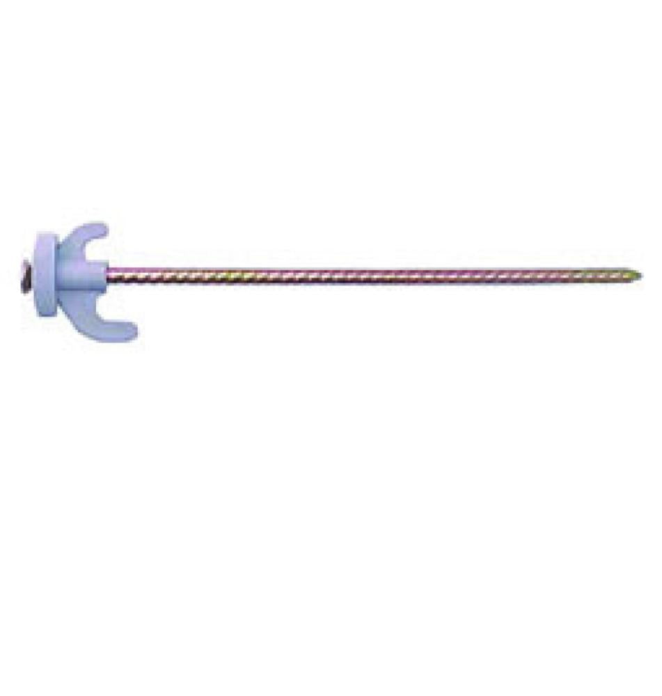 Campking Rotspen Jane 23cm 4st.